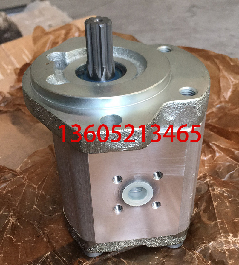Shaanjian ABG paver single feed pump