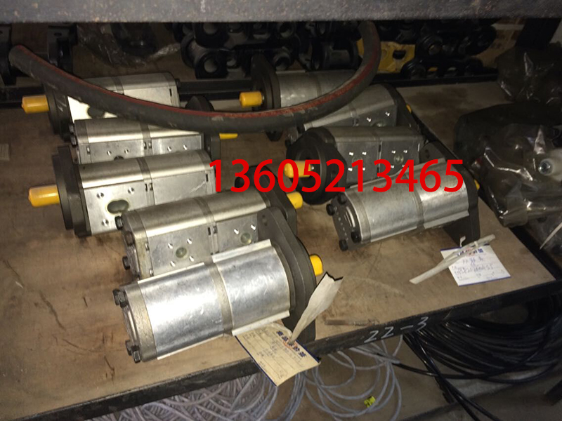 Volvo paver dual gear pump, dual pump assembly 080