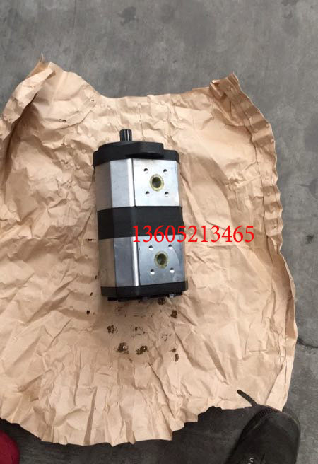 ABG8820 paver scraper gear pump WP09A20851006