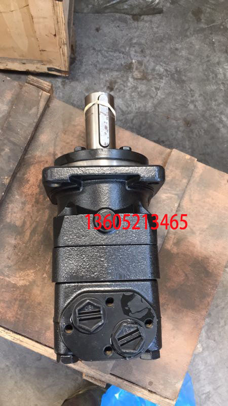 Hydraulic Motor for HAMM/Bomag/dynapac Road Roller