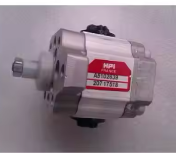 Customized HPI Gear pump 30230422 P1AAN2008 HL20 C
