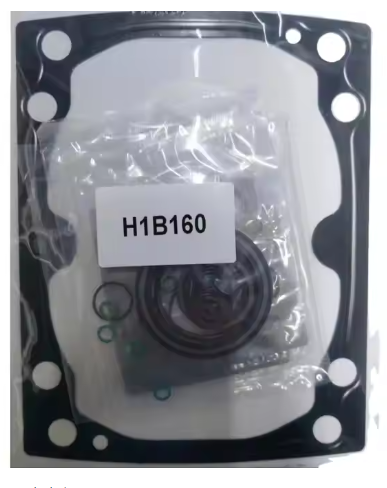 Sauer H1B160 H1B110 H1B060 H1B080 Hydraulic Motor 